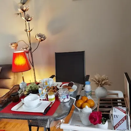 Les Pingouins De La Marne Bed and breakfast