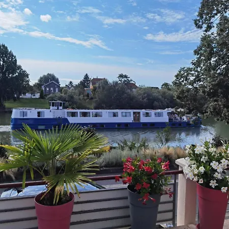 Les Pingouins De La Marne Bed & Breakfast