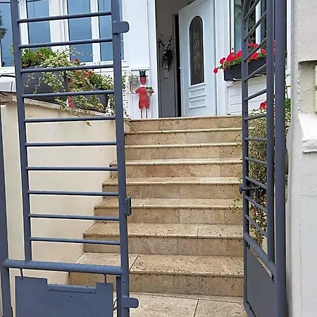 Les Pingouins De La Marne