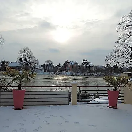 Les Pingouins De La Marne
