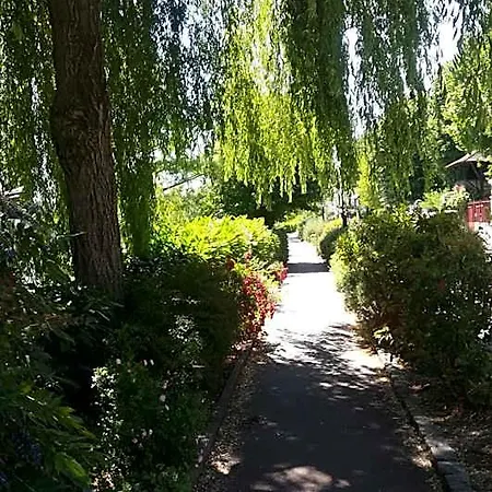 Les Pingouins De La Marne
